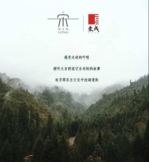 东成文宋