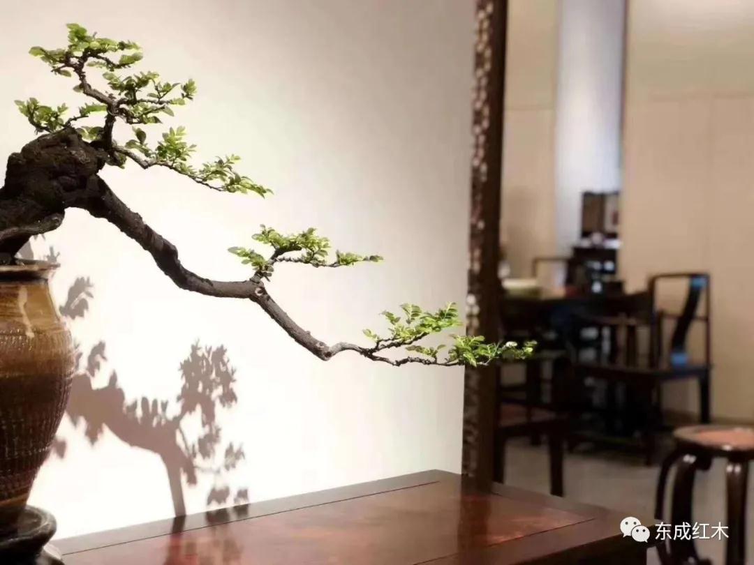 东成文宋